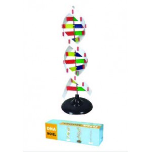 DNA Structure Simulation Kit